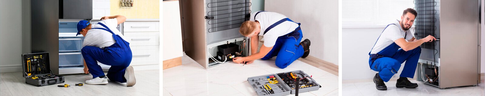 assistencia refrigerador electrolux